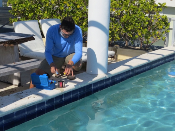 Pool Cleaning Service